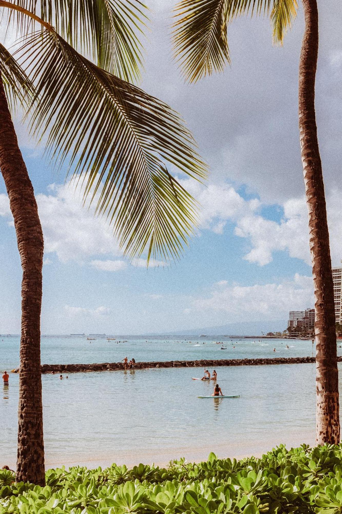 Royal Grove Waikiki Hotel Honolulu Kültér fotó