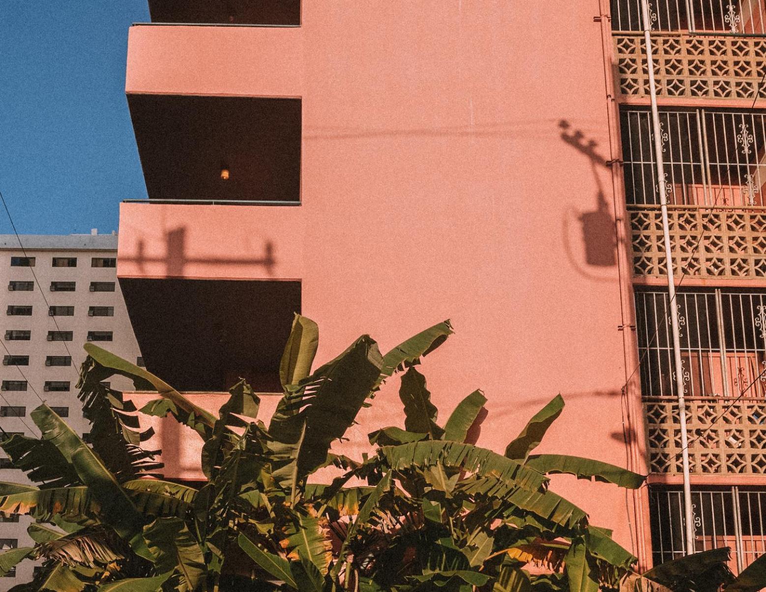 Royal Grove Waikiki Hotel Honolulu Kültér fotó
